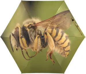 Bee Specimen Umbrellas for Rain Flying Insect Travel Umbrella Windproof Small Folding Compact Mini Umbrella for Purse Lightweight Portable Pocket for Women
