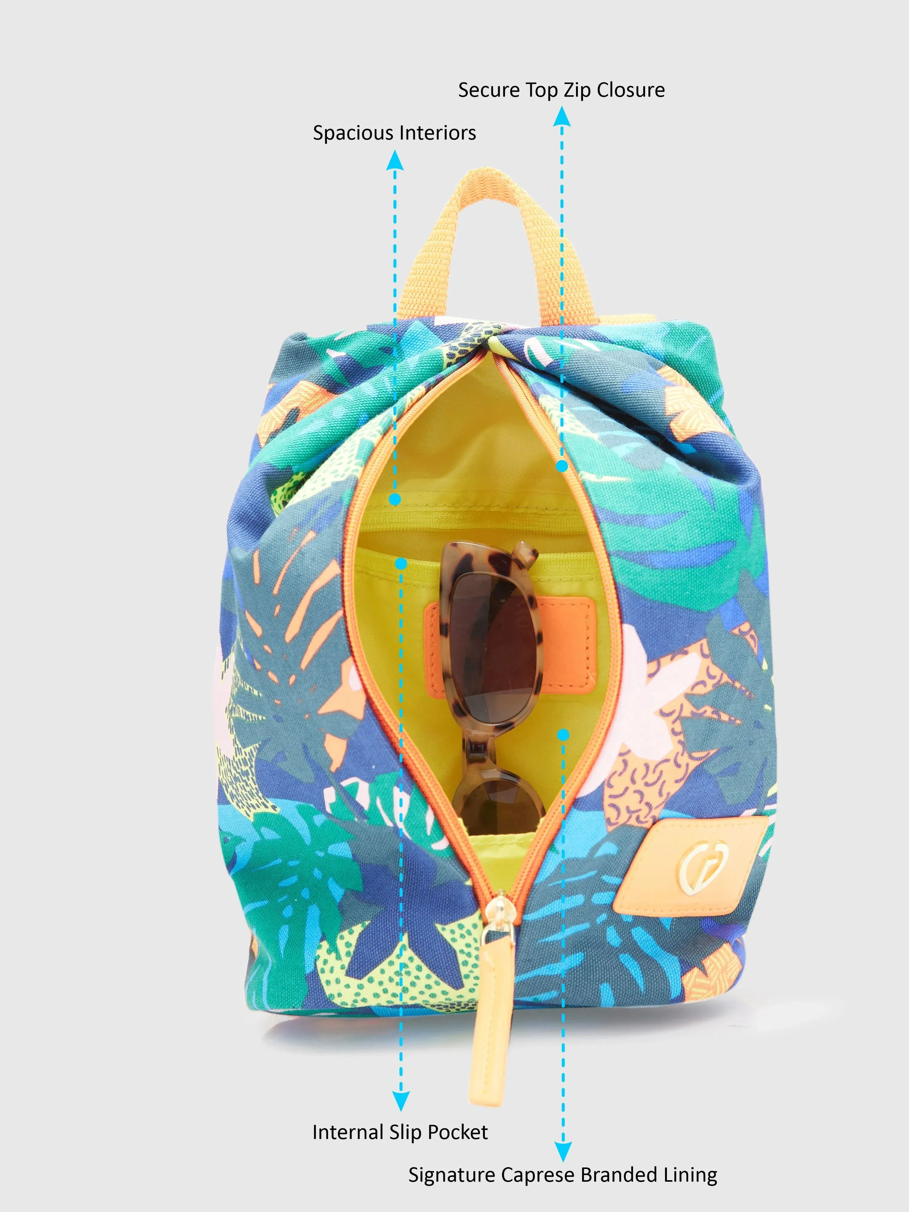 Caprese Octavia Small Indigo Backpack