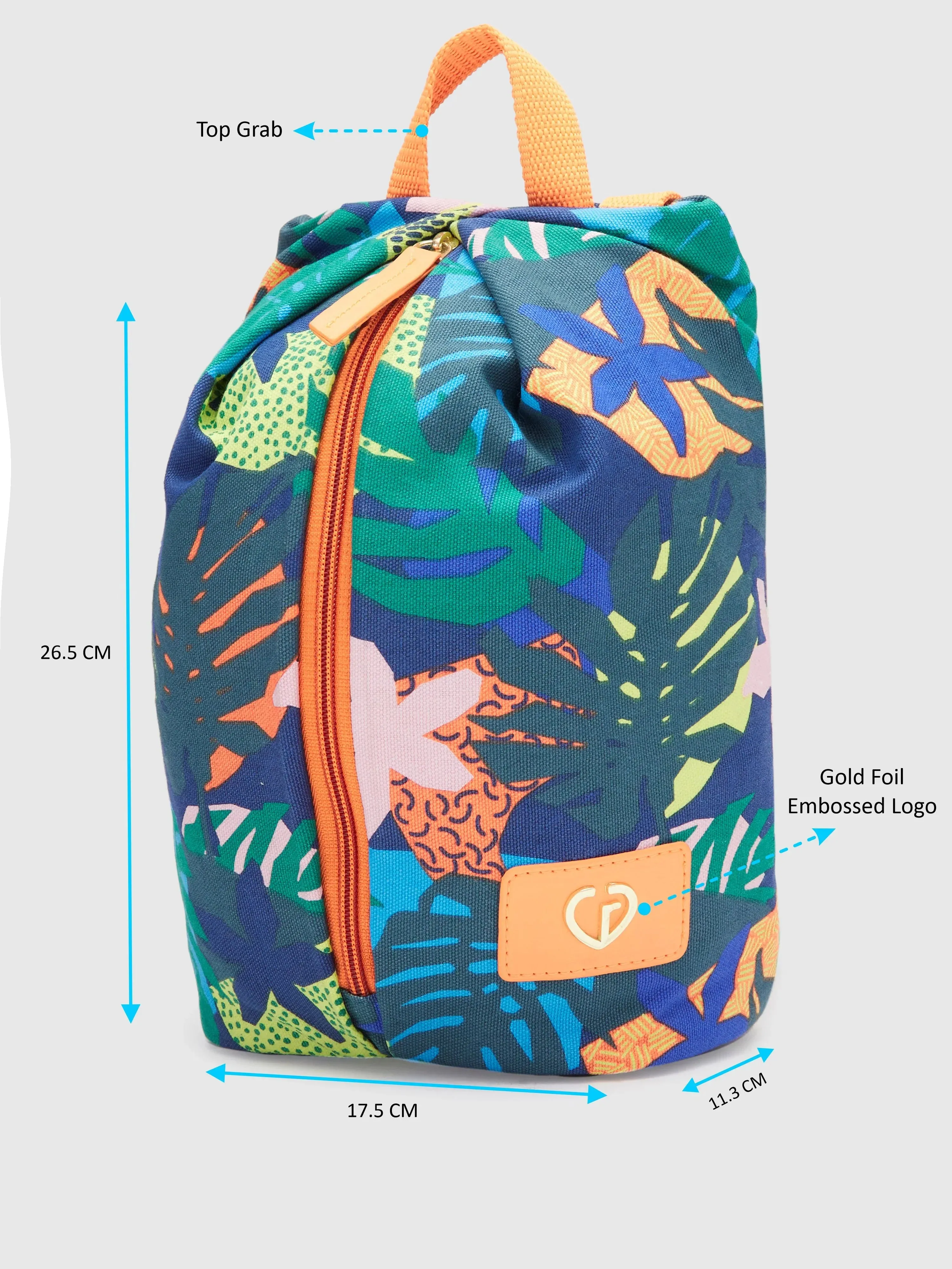 Caprese Octavia Small Indigo Backpack