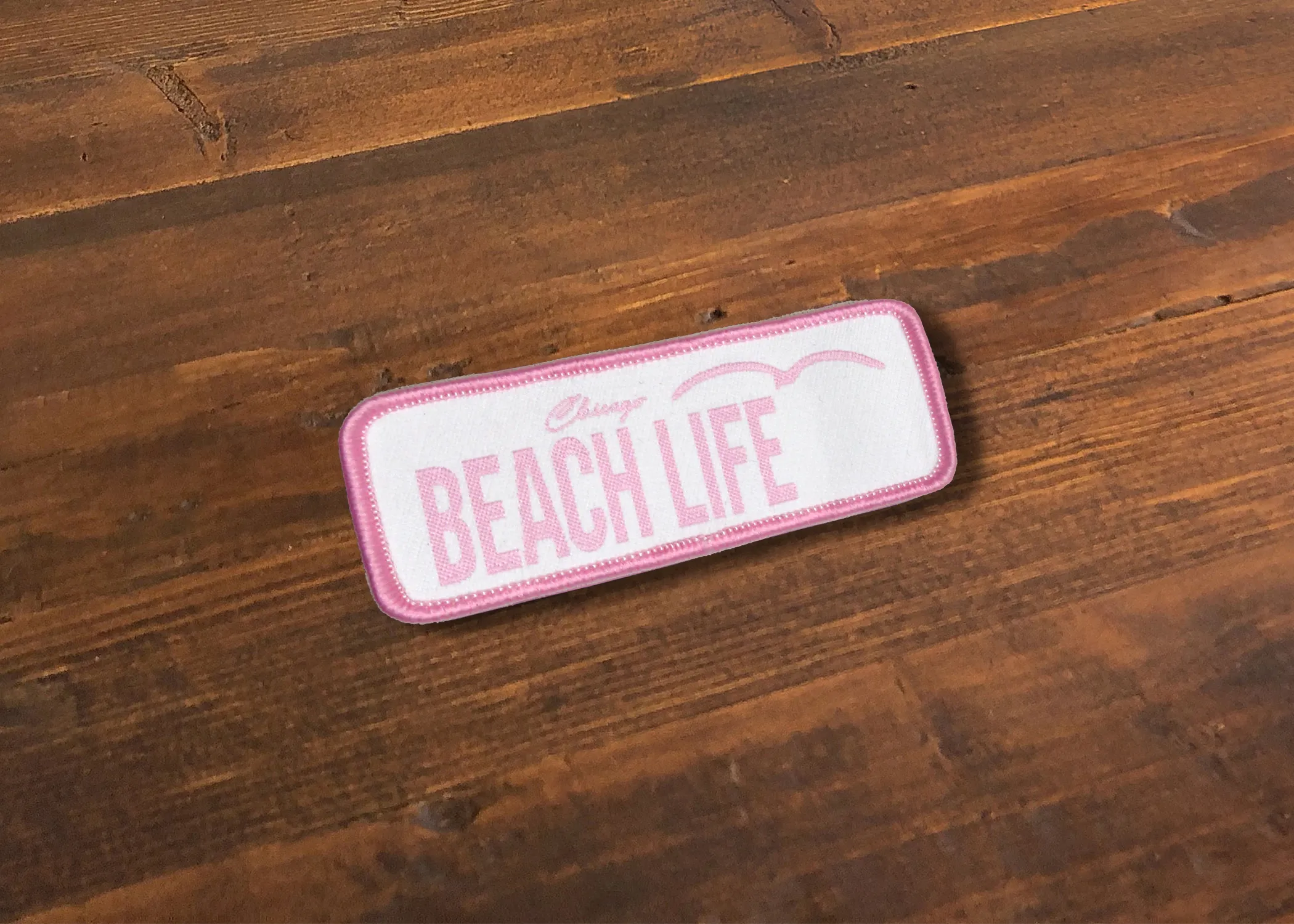 Chicago Beach Life