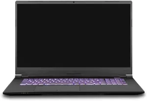 Clevo PC70DF1 Gaming & Business Laptop (Intel i7-10875H 8-Core, 16GB RAM, 256GB PCIe SSD, RTX 2070 (Max-Q), 17.3" 144Hz Full HD (1920x1080), Fingerprint, WiFi, Win 10 Pro) (Renewed)