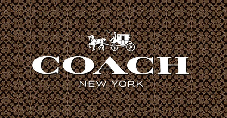 COACH COACHTOPIA LOOP FLAT CLOUD QUILTING TOTE BAG