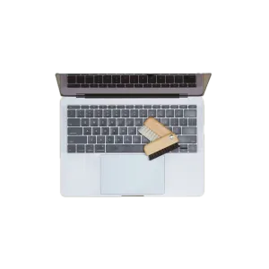 Computer/ Laptop Brush