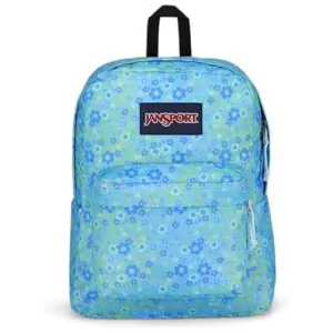 JanSport SuperBreak One Backpacks
