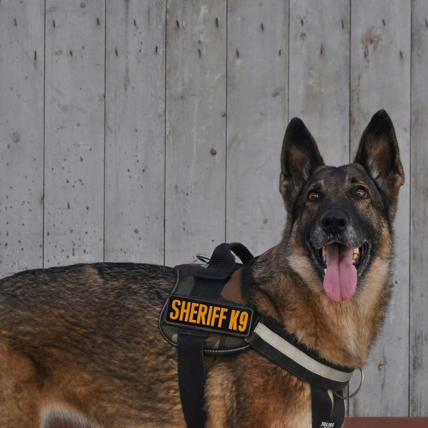 Large PVC Sheriff K9 Patch for Sheriff Department Uniforms Service Dog Harness Working K9 Dog Collar