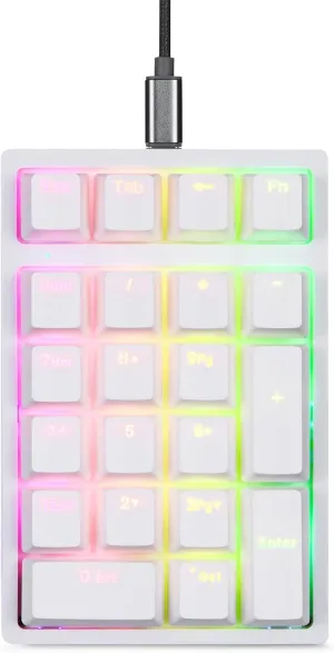 MOTOSPEED Mechanical Numeric Keypad Hot-Swap GATERON Switch Wired Gaming Keyboards RGB Backlit PBT Keycap 21 Keys Mini Numpad Portable Keypad Extended Layout,Computer Keyboard for Laptop(Blue Switch)