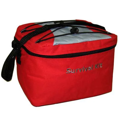 Red Large Cooler Bag