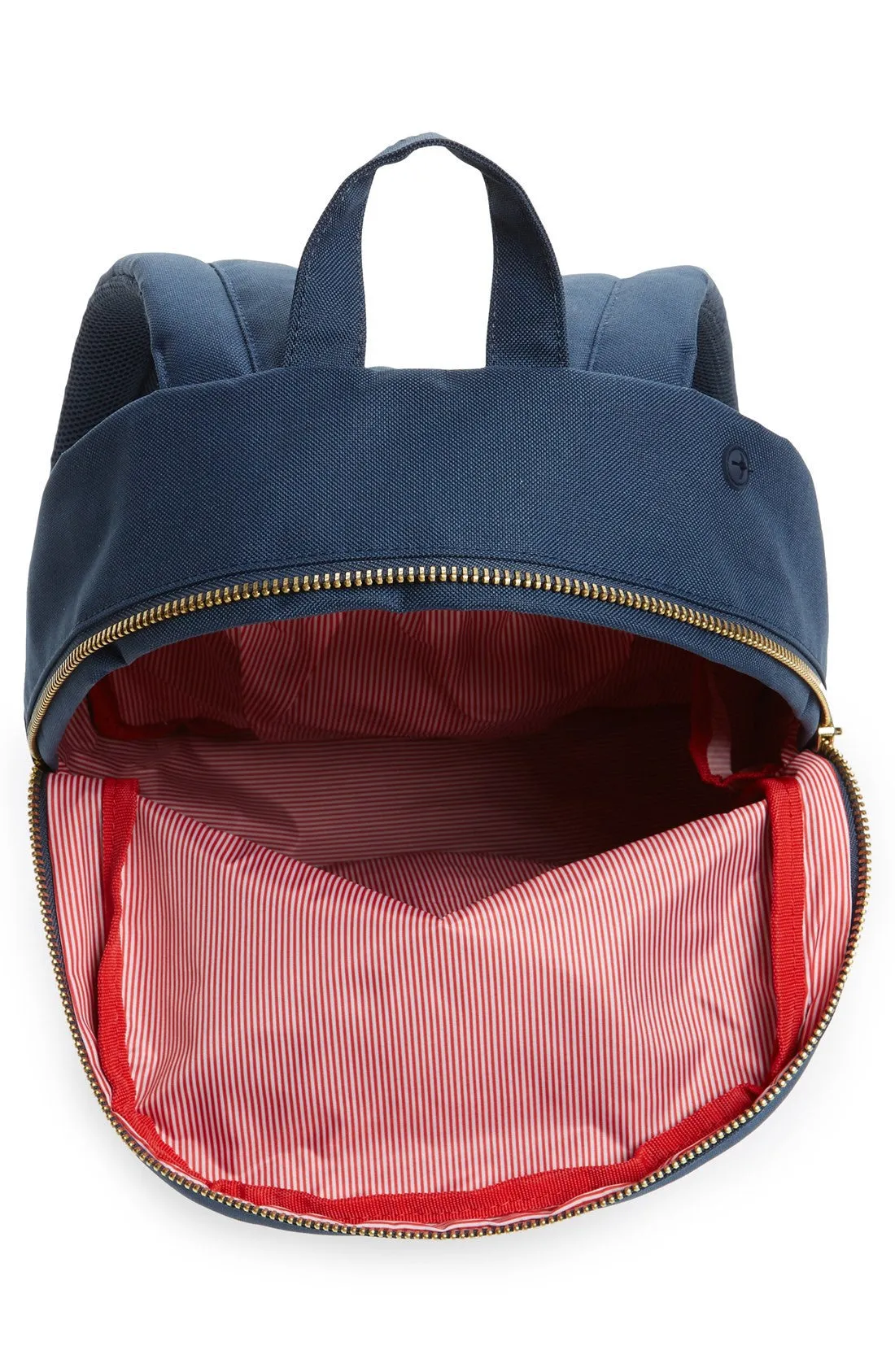 'Settlement Mid Volume' Backpack