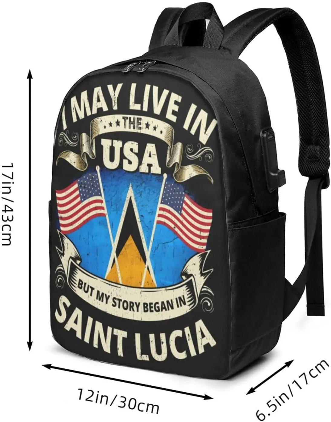 Vintage Saint Lucian Lucia Flags Laptop Backpacks Travel Backpack Casual Business Daypack Sport Rucksack Computer Bag Fits up to 17 Inch Notebook with USB Port