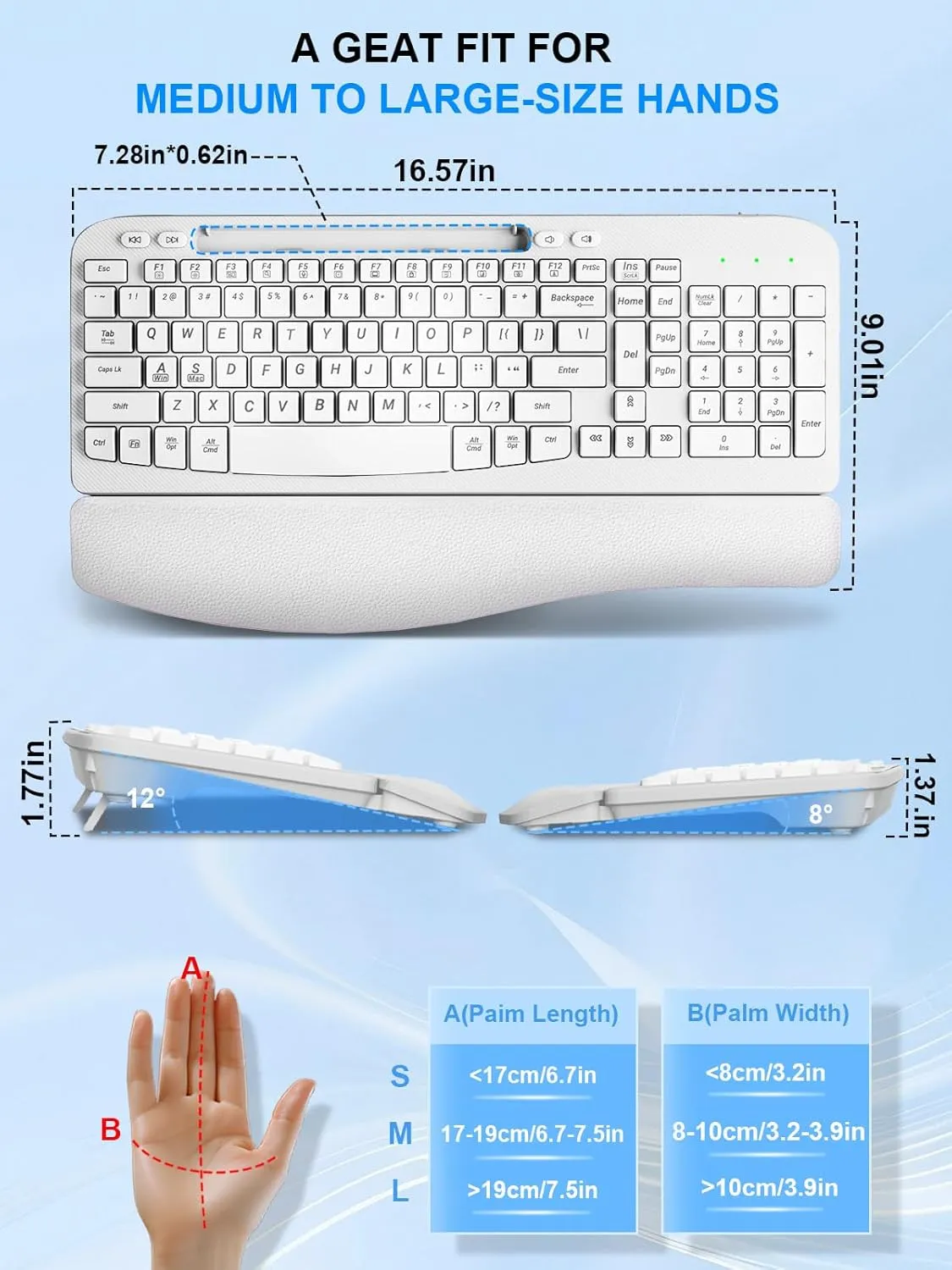 Wireless Keyboard and Mouse Combo, Wave Keys Computer Ergonomic Keyboard with Cushioned Plam Rest, Phone Holder, 2.4GHz Silent 6 Button Wireless Mouse Set for Laptop, PC, Windows, Mac (White)